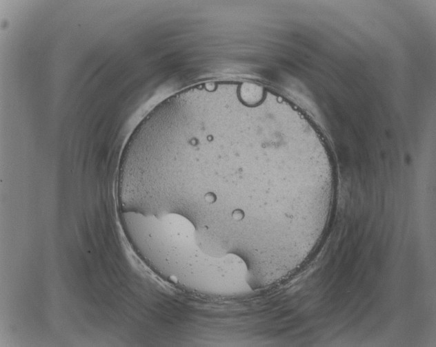 X0000084541338200703091644