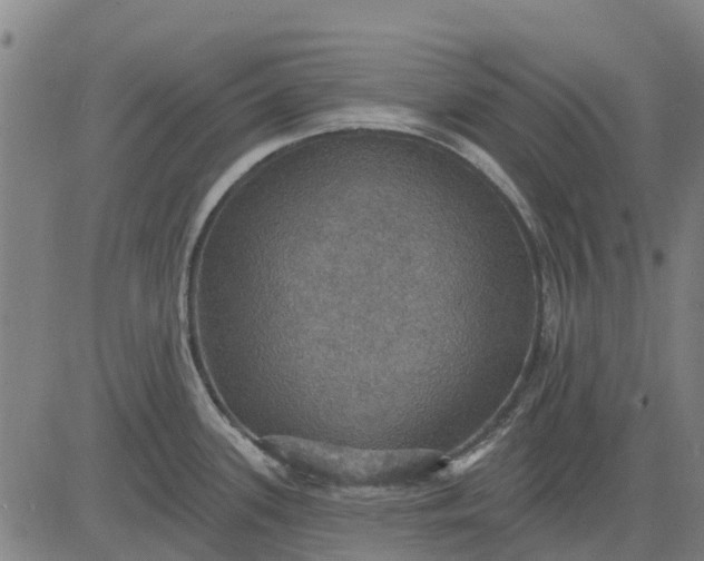 X0000084541339200703091644