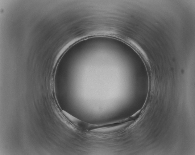 X0000084541340200703091644