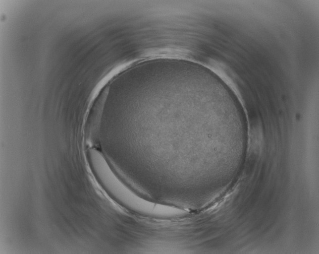 X0000084541341200703091644