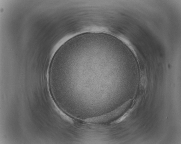 X0000084541343200703091644