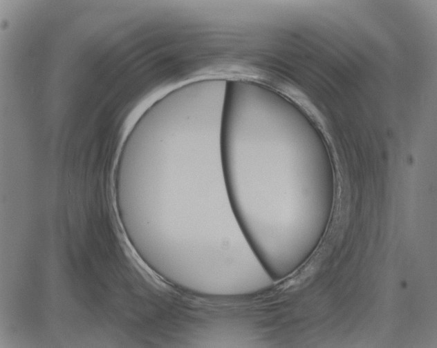 X0000084541344200703091644