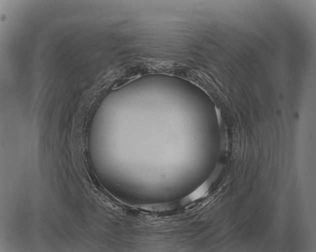 X0000084541345200703091643