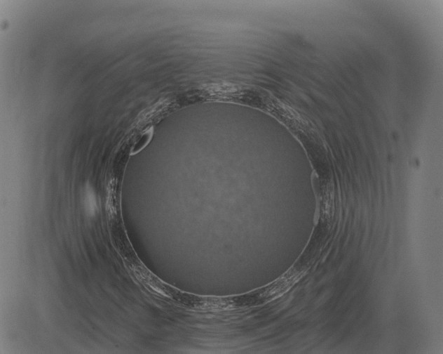 X0000084541346200703091643