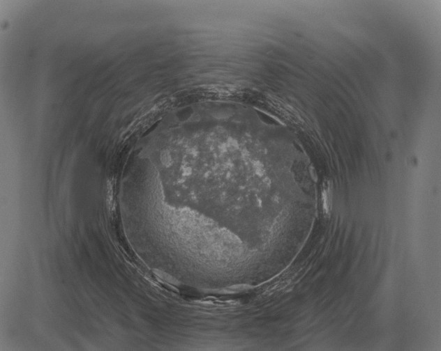 X0000084541347200703091643