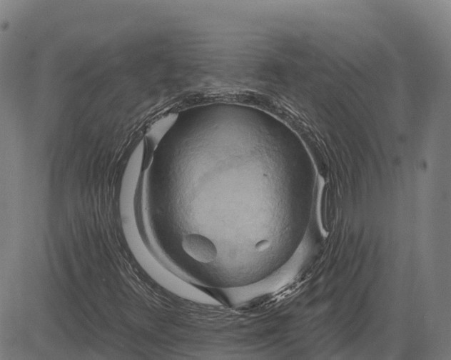 X0000084541348200703091643