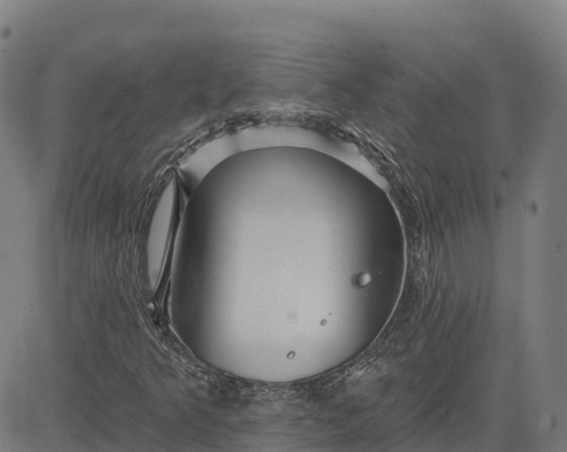 X0000084541349200703091643