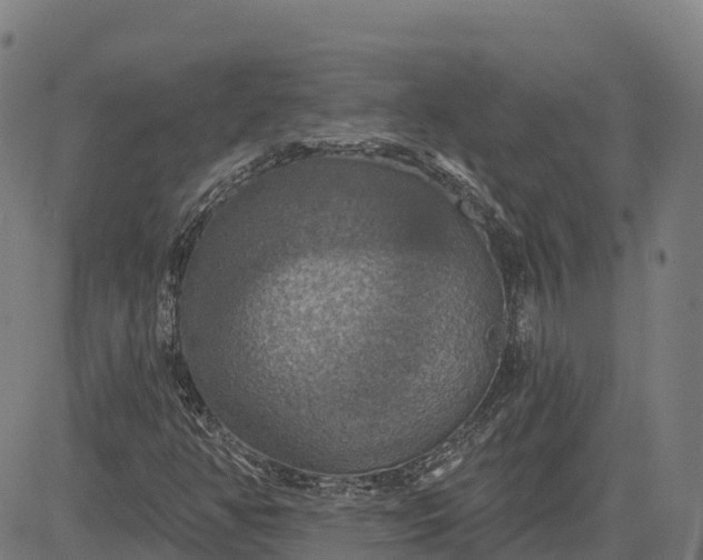 X0000084541350200703091643