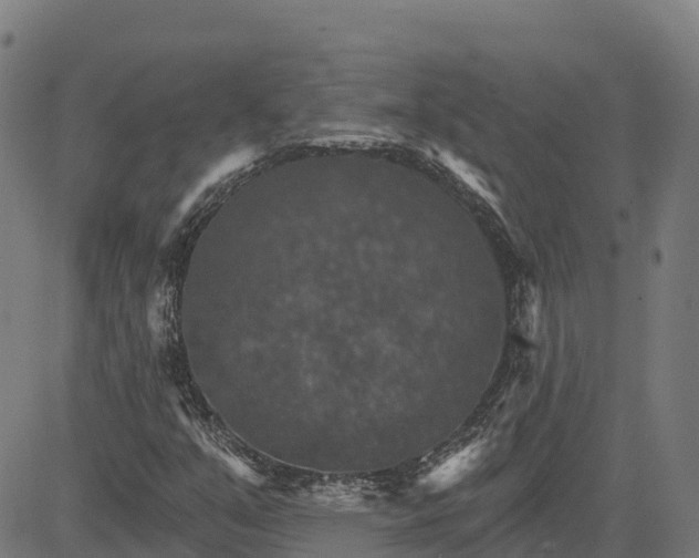 X0000084541351200703091643