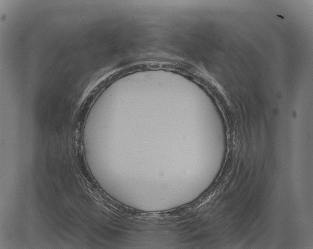 X0000084541352200703091643