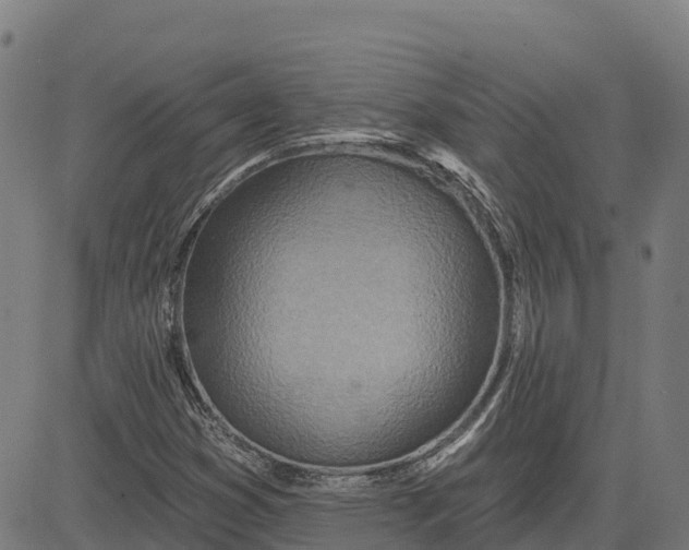 X0000084541353200703091643