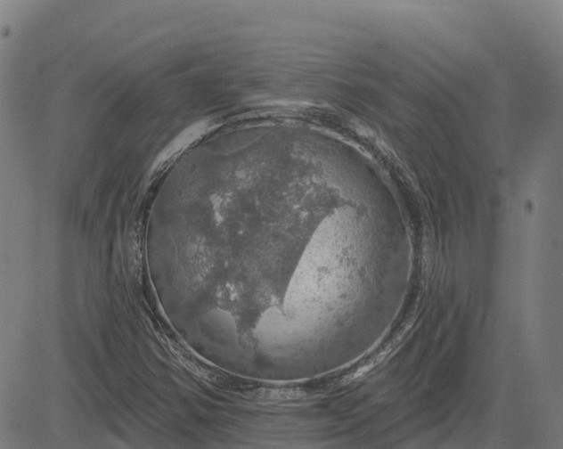 X0000084541354200703091643