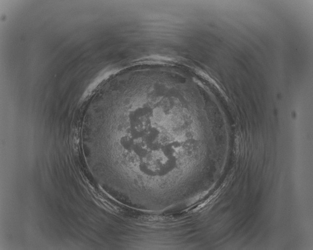 X0000084541355200703091643