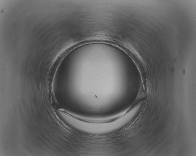 X0000084541356200703091643