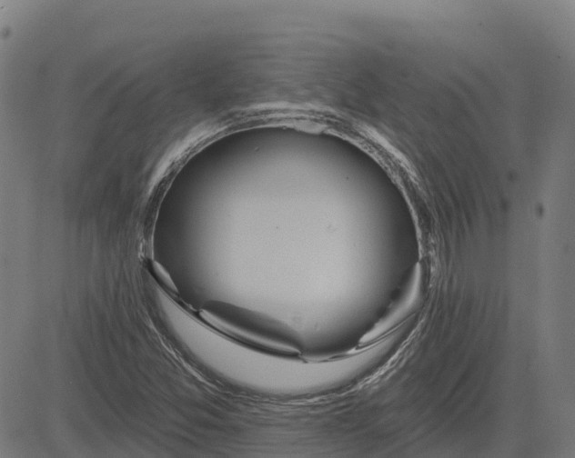 X0000084541357200703091643