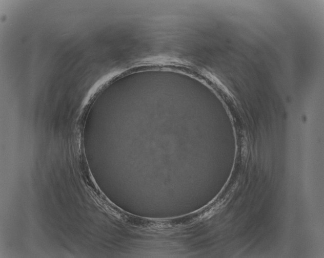 X0000084541358200703091643