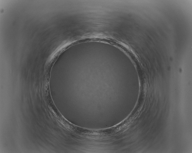 X0000084541359200703091643