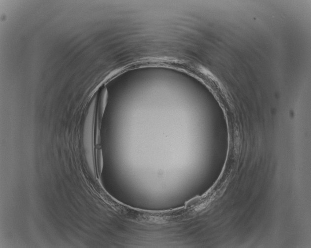 X0000084541361200703091643