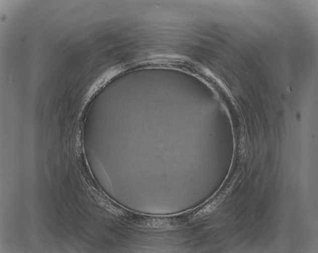 X0000084541362200703091643