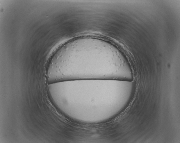 X0000084541363200703091643