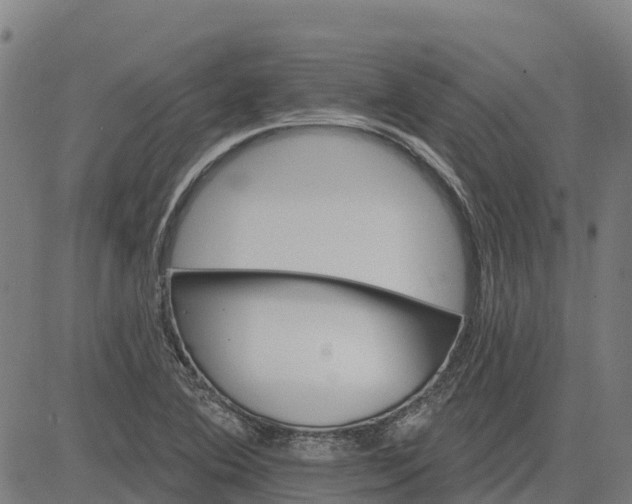 X0000084541364200703091643