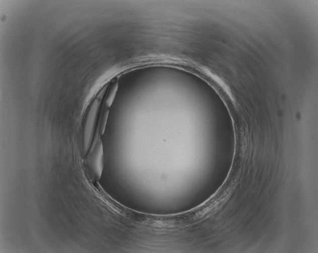 X0000084541365200703091643