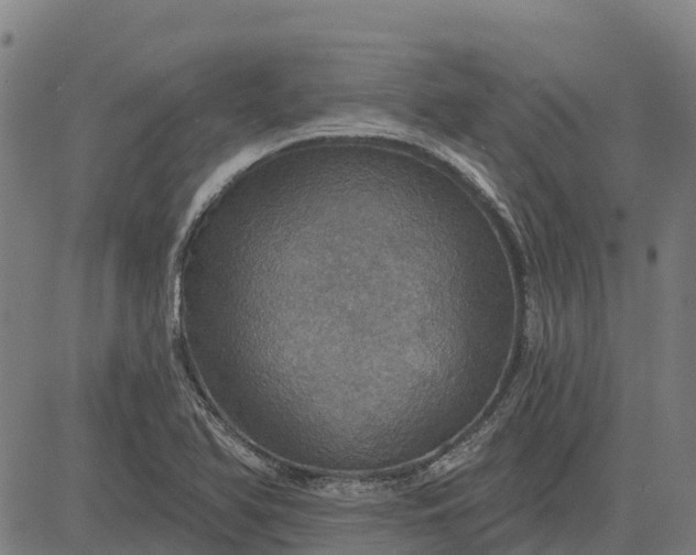 X0000084541366200703091643