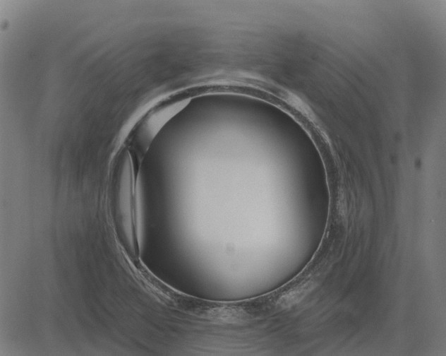 X0000084541368200703091643