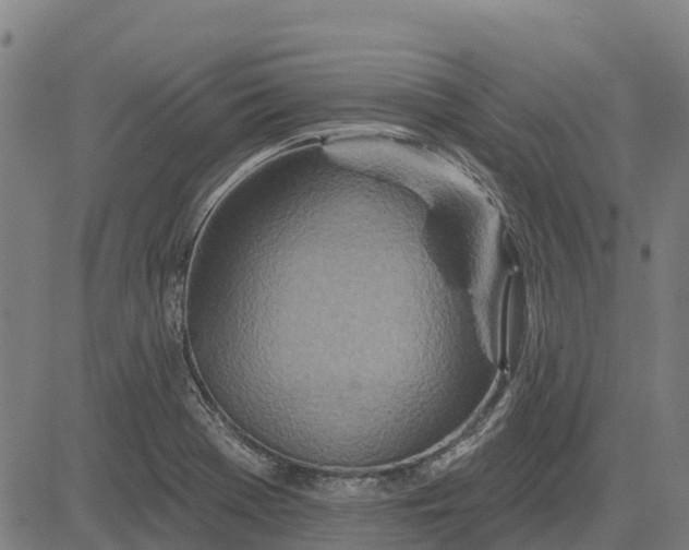 X0000084541369200703091643