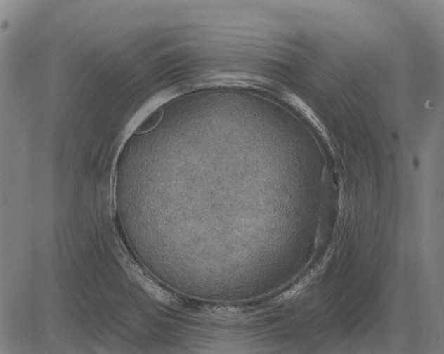 X0000084541370200703091643