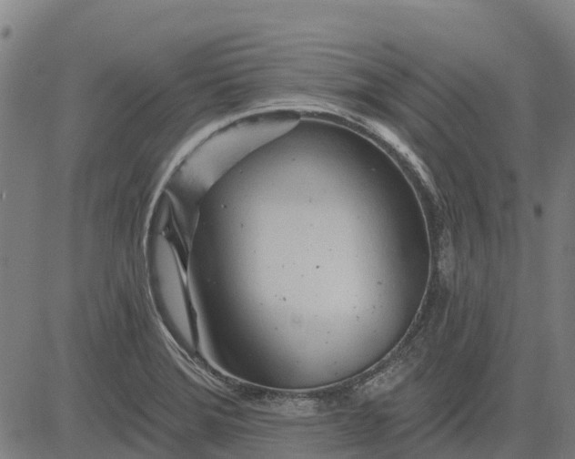 X0000084541372200703091643