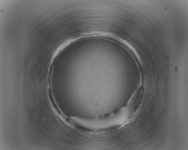 X0000084541373200703091643