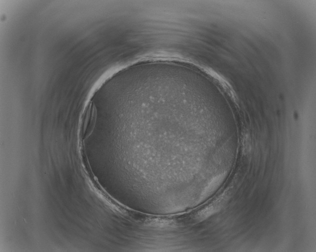 X0000084541374200703091643