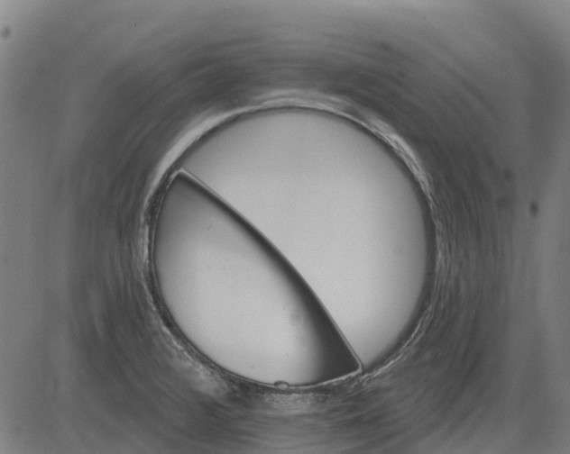 X0000084541376200703091643