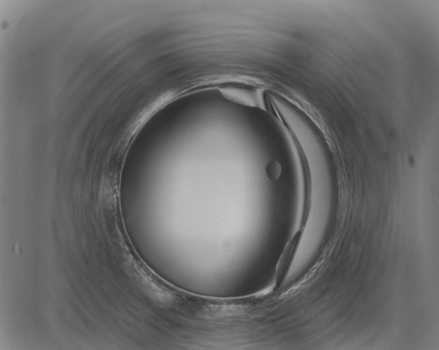 X0000084541377200703091643