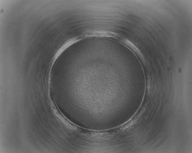 X0000084541378200703091643