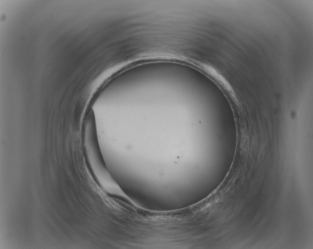 X0000084541380200703091642