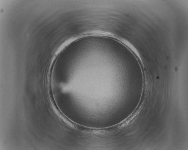 X0000084541381200703091642