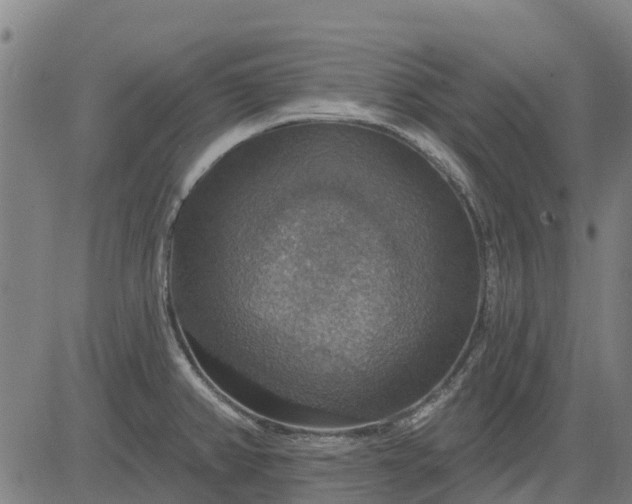 X0000084541382200703091642