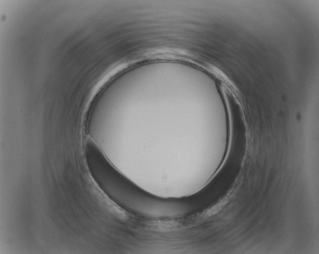 X0000084541384200703091642