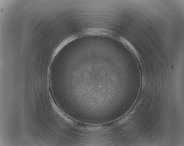 X0000084541386200703091642