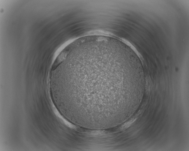 X0000084541387200703091642