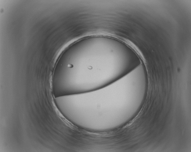 X0000084541388200703091642