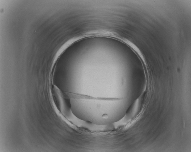 X0000084541389200703091642