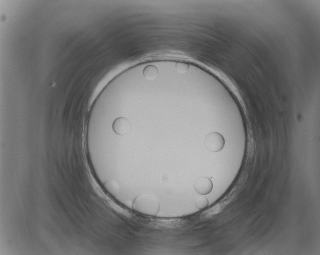 X0000084541390200703091642