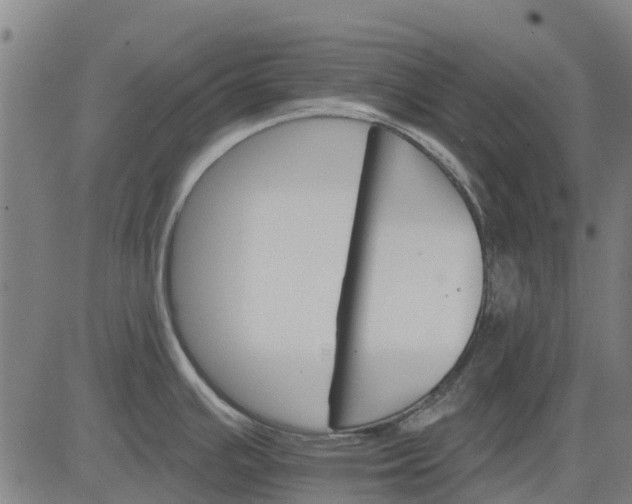 X0000084541391200703091642