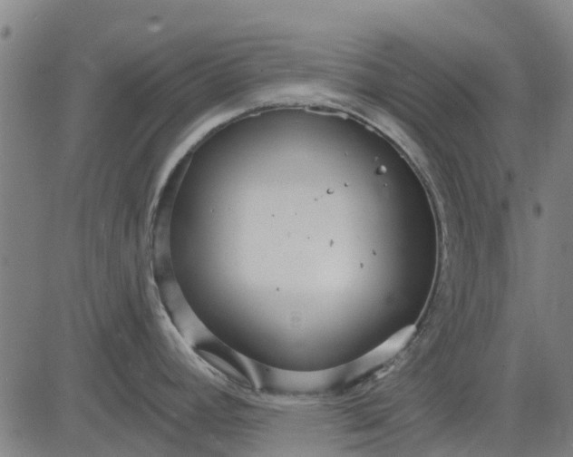 X0000084541392200703091642