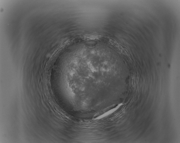 X0000084541393200703091641