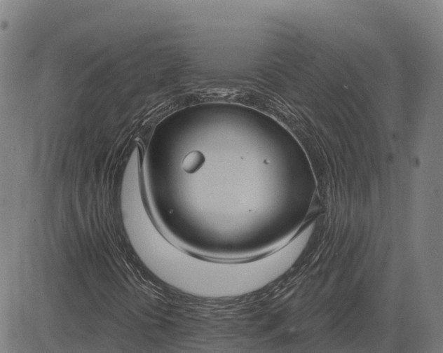 X0000084541394200703091642