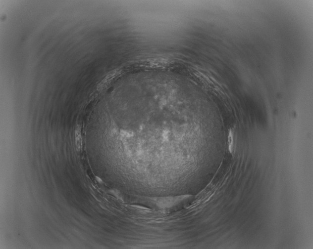 X0000084541395200703091642